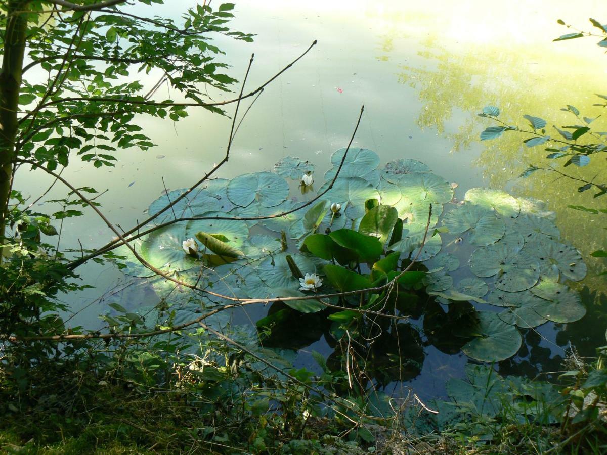 La Maison De L'Etang Sampigny Exteriér fotografie